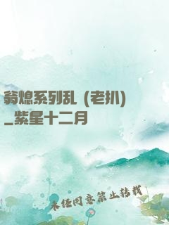 翁熄系列乱 (老扒)